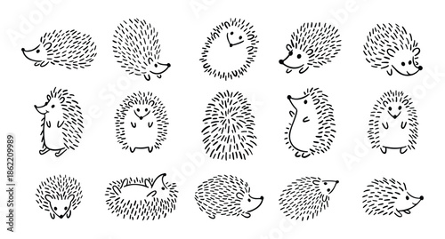 Doodle hand drawn cute hedgehog set. Hand drawn adorable hedgehog collection. Outline drawing for children.