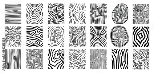 Wood lines texture material doodle hand drawn line set. Rings and circles tree trunk geometric curve, wave contour. 