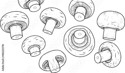 Multiple Button Mushrooms Falling or Floating in a Detailed Black and White Outline Line Art Drawing
