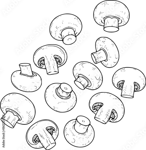 Multiple Button Mushrooms Falling or Floating in a Detailed Black and White Outline Line Art Drawing
