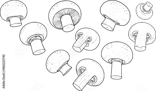Multiple Button Mushrooms Falling or Floating in a Detailed Black and White Outline Line Art Drawing
