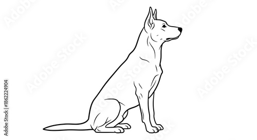 Alert dog sitting in profile view with perked up ears