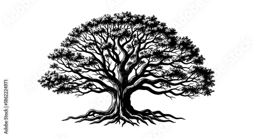 Stunning tree with sprawling roots and branches on white