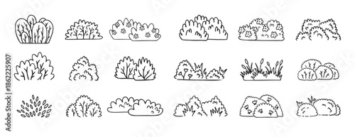 Bushes doodle hand drawn line icon set. Bushes clipart outline