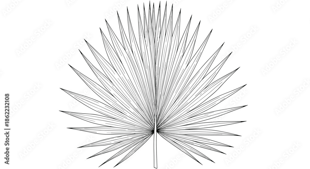 Obraz premium Elegant line art illustration of a leafy branch on a minimalist background featuring abstract organic shapes and soft colors.