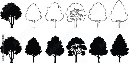 Ten black and white tree with different leaf shapes and branch structures trees outline