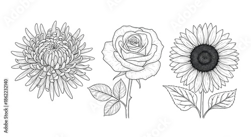 Professional cleaning kit containing brushes, spray bottles, and a bucket for household sanitation and daily hygiene maintenance.