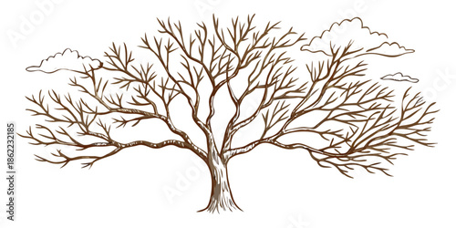 A stylized illustration of a bare tree with branches and wispy clouds
