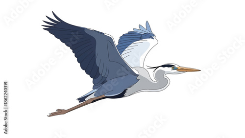 A large, elegant bird with long legs and a long beak is shown in mid-flight against a blank white backdrop. Its wings are outstretched