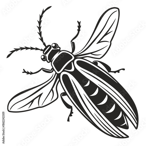 Detailed illustration of a winged insect resembling a firefly or beetle is depicted in profile view.