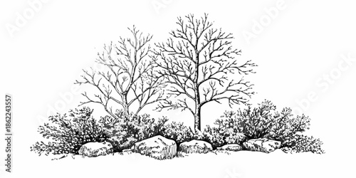 A detailed black and white illustration of trees rocks and shrubbery