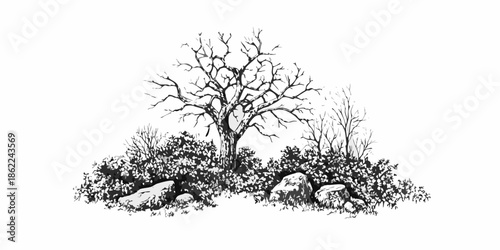 A stark black and white sketch depicts a barren tree and rocky landscape
