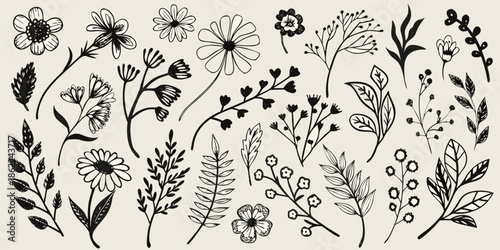 A collection of delicate floral sketches and botanical line art illustrations