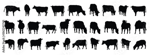 cow and calf silhouette set. cow and calf isolated farm animal silhouette icon vector collection