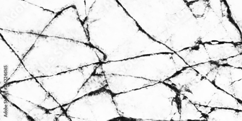 Abstract grunge background with grunge effect panoramic white background. Earth cracks texture on isolated vector background. black lightning bolts. Earth crack. Elegant White Cracked Marble Texture. 