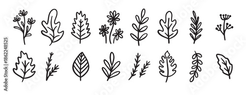autumn or summer leaves doodle sketch icon set. forest leaf design elements set in vintage retro line style