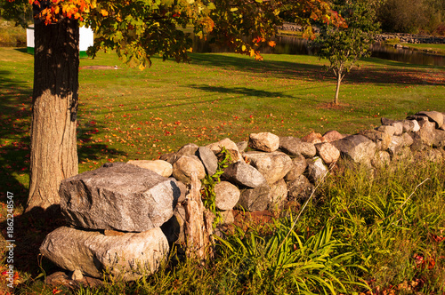 autumn leaves in the park