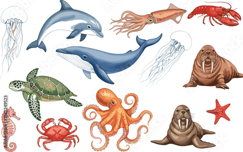 Detailed flat vector marine life set featuring whales dolphins octopus sea turtles walruses and various underwater sea creatures