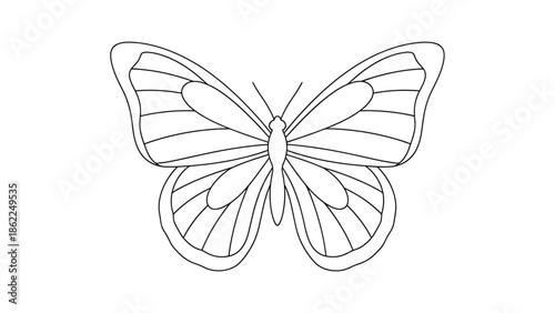 A line-drawing of a butterfly, symmetrical in design, with two detailed wings and a central body against a stark white backdrop