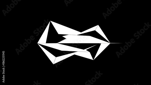 A mirrored geometric composition features white, angular shapes against a black background, suggesting reflections and symmetry