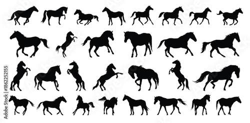 horse silhouette set. horse different poses isolated farm animal silhouette icon vector collection