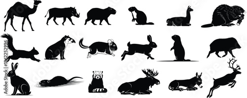 Collection of various animal silhouettes in different poses and species
