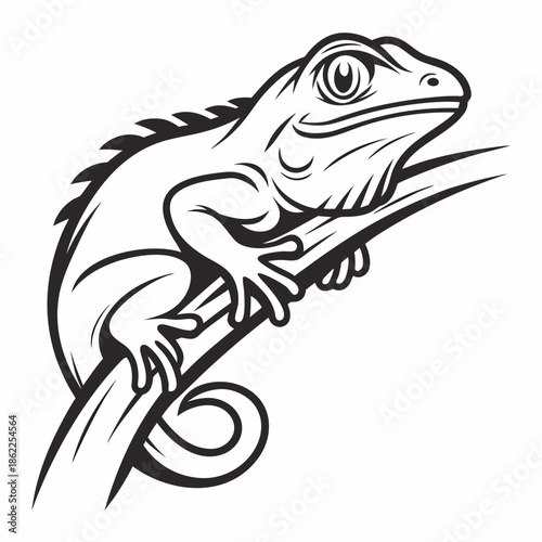 Iguana creature outline features a spiky dorsal crest while gripping a thick curved branch in a bold style.