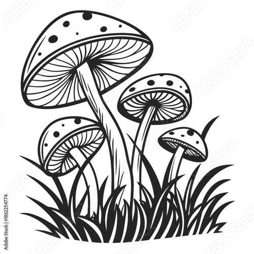 A cluster of spotted mushrooms grows upward from the shaded base of tall grass blades in a detailed outline drawing.
