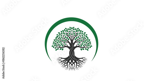 A minimalist depiction showcasing a lush dark green tree with detailed roots enclosed within a sweeping curved arc on a white