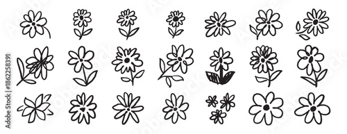 brush flowers daisies or camomile doodle hand drawn icon set. Outline drawing flower line clipart symbol collection