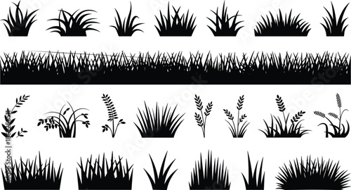 Set of black grass and wild plant silhouettes, meadow foliage icons collection, natural botanical elements isolated on white background for design projects