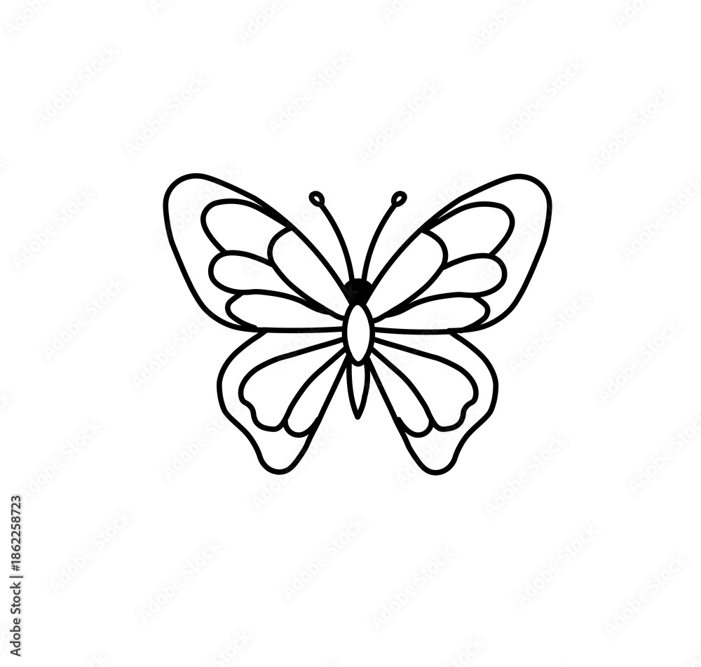 Obraz premium butterfly vector illustration