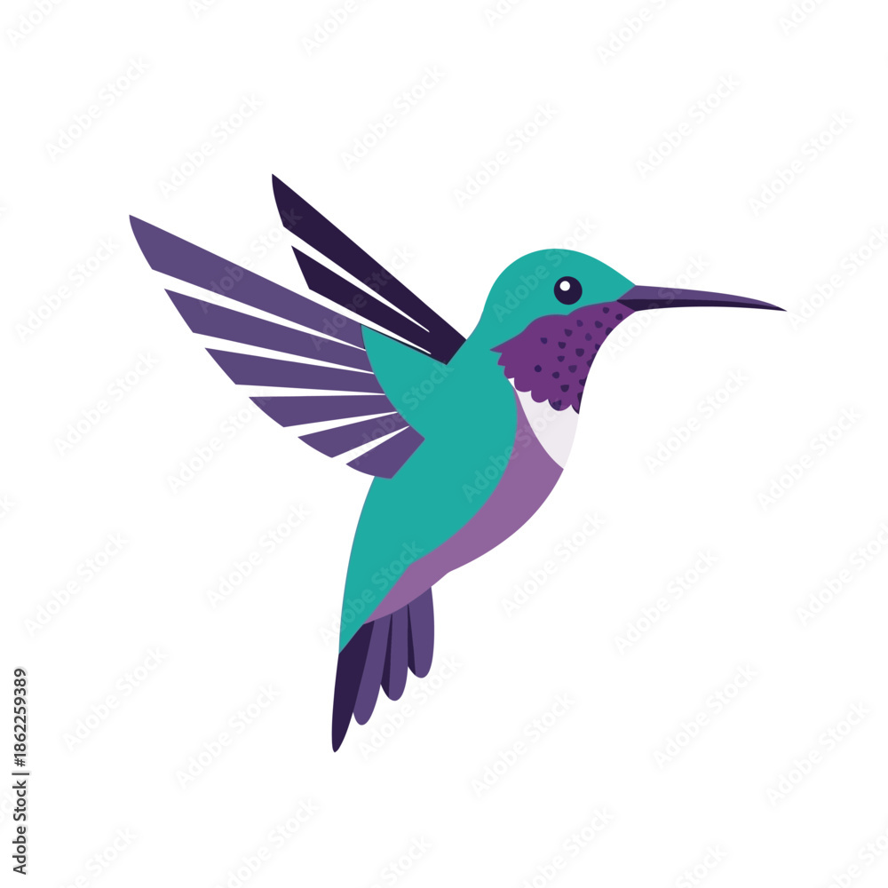 Obraz premium Vibrant vector illustration of a hummingbird in flight on a white background.