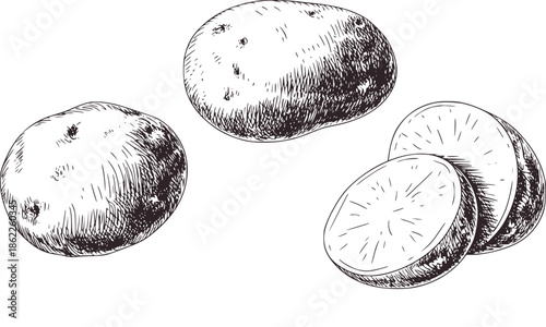 Hand drawn black and line of whole and sliced potatoes food