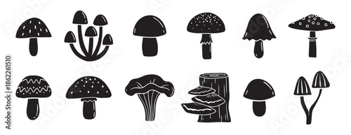mushrooms silhouette monochrome with patterns illustration set. Trendy mushroom creative fabulous mystic folklore collection