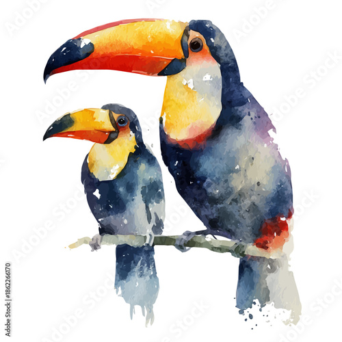 Toucan With Its Baby, watercolor painting, vector illustration, isolated on a white background.