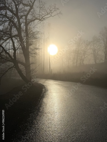 morning in the city with fog an sun, mystic atmosphere