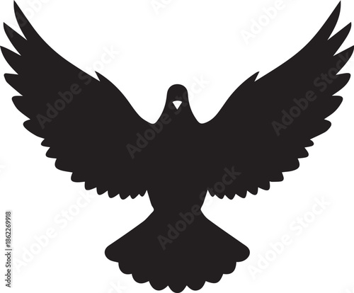 Silhouette of a soaring bird