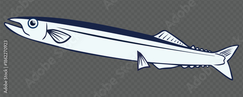 Vector illustration of pacific saury fish