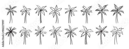 palm tree doodle hand drawn icon set. Outline drawing palm tree line clipart symbol collection