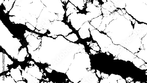 Abstract black and white pattern resembling cracked earth or a marbled stone surface texture is presented