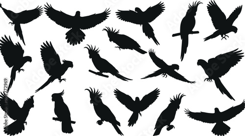 Parrot silhouette poses collection, flying and perching tropical birds, cockatoo and macaw wildlife shapes, black bird figures, vector illustration set