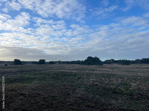 field and sky