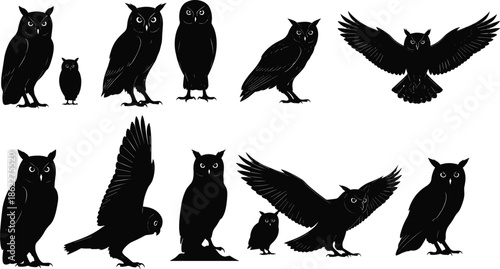 Owl silhouette collection, nocturnal bird poses and flying owls set, wildlife night predator shapes, black bird shadow vector illustration