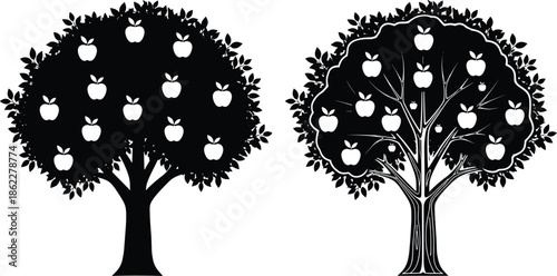Apple tree illustration, stylized orchard design, fruit tree vector, botanical art, nature concept, educational graphic, seasonal harvest, farm theme