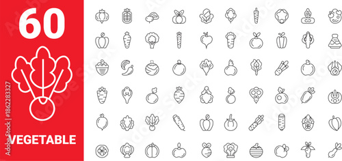 Minimalist line icons showcasing a diverse range of fresh and healthy vegetables