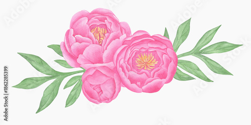 Hand painted floral elements set. Watercolor botanical illustration of peony and leaves.