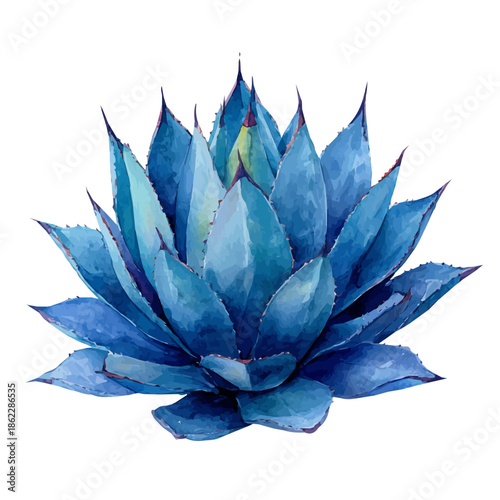 Blue Agave, watercolor illustration, vector style, isolated on a white background.