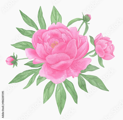 Hand painted floral elements set. Watercolor botanical illustration of peony and leaves.