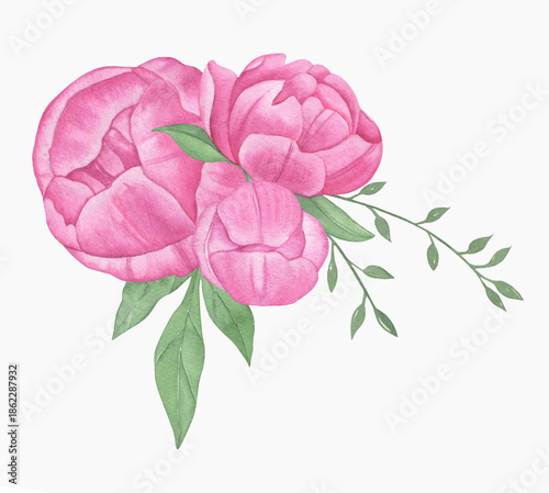 Hand painted floral elements set. Watercolor botanical illustration of peony and leaves.